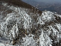 -灵山