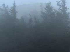 -富士山吉田線五合目
