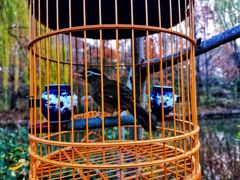 -山东柏宁水族批发广场