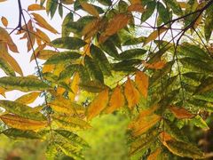 -商丘市人民公园