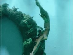 -瑞德姆美人鱼海底演艺主题餐厅(亚龙湾店)