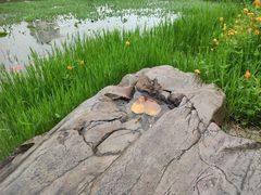 -映月湖公园