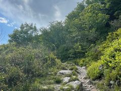 -阳台山自然风景区