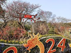 -无锡梅园公园
