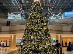 -广州白云机场雅高铂尔曼大酒店