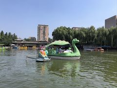 -团结湖公园
