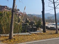 -黄陂区野村谷景区