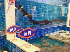 -乔哥铭洋海鲜自助(皇城恒隆广场店)