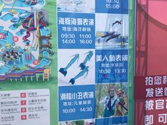 -秦皇岛乐岛海洋王国