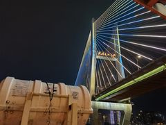 -武汉知音号