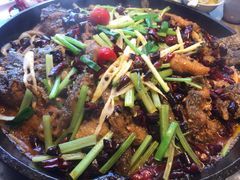 -老板恋上鱼(恒隆广场店)