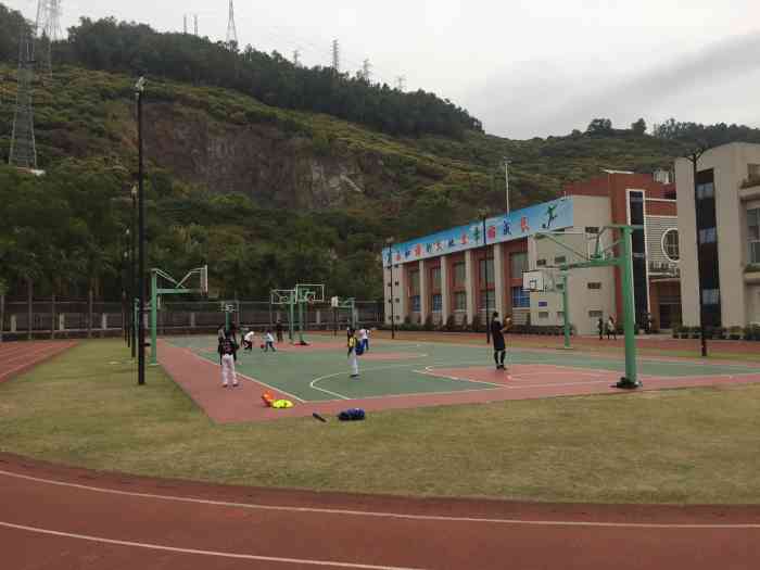 深圳市龙珠学校-"这所龙珠中学的具体位置就是在南山区的桃花.