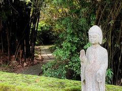 -鹿野苑石刻艺术博物馆