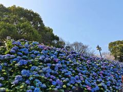 -苏州上方山国家森林公园