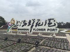 -上海鲜花港