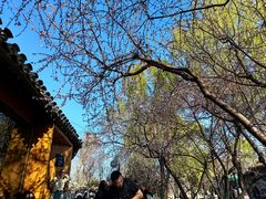 -春风习习