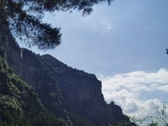 -重庆睡佛山森林公园