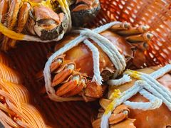 -蟹村草堂·苏式园林人文农家·大闸蟹