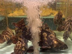 -阿伟海鲜楼·福建菜(延寿店)
