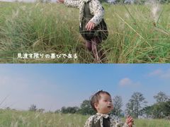 -白鹭湾湿地公园