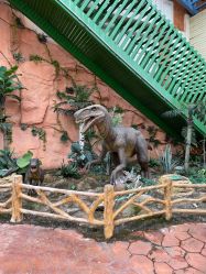 点击看大图 -宝燕乐园(闵行旗舰店)