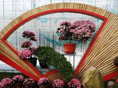 -上海鲜花港