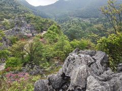 -千岛湖石林