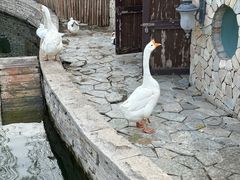 -南宫五洲植物乐园