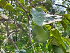 -北京小汤山医院体检中心