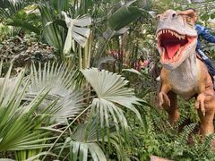 -沈阳植物园