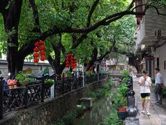 -小洲村