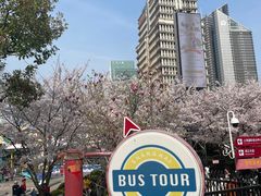 -BUS TOUR观光巴士