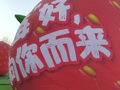 -翠微百货(龙德店)