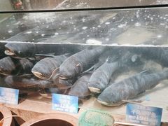 -上名堂·鱼头好吃(体育场路店)