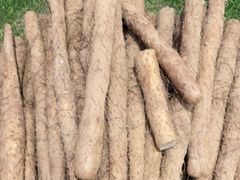 -老阿爸江浙土菜(奥体中心店)