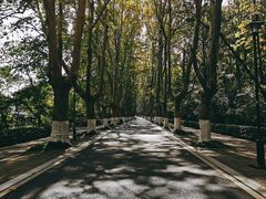 -灵谷景区