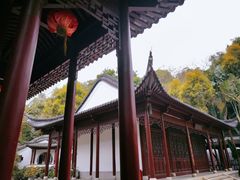 -深圳国际园林花卉博览园