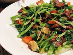 -广东道至正餐厅(区庄店)