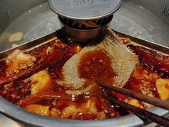 -巴奴毛肚火锅(九洲店)