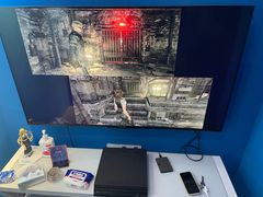 -浣熊部落ps4 ps5 switch 电玩(茶店子店)