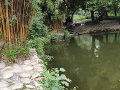 -成都市活水公园
