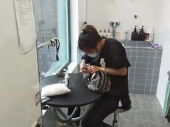 -宠颐生动物医院·心脏科·保险定点(锦阳分院)