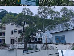 -南丫岛