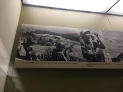 -轻武器博物馆