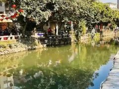 -贞姨芝麻糊
