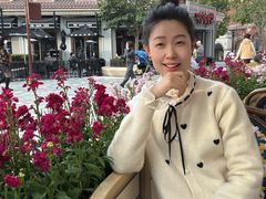 -迪士尼小镇