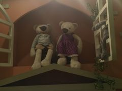 -济州岛泰迪熊博物馆