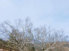 -凤凰山国家森林公园