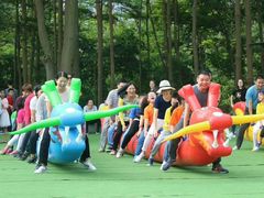 -松山湖南湖湾露营营地