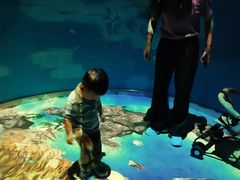 -烟台海昌鲸鲨海洋公园